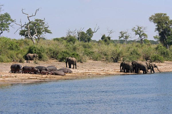 Chobe