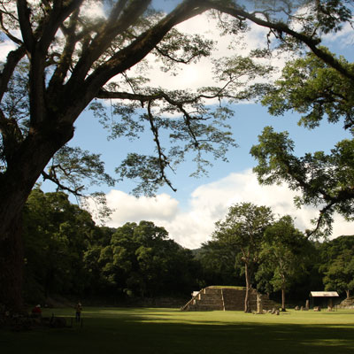 copan