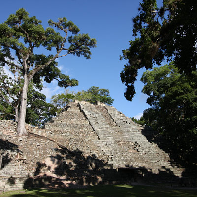 copan