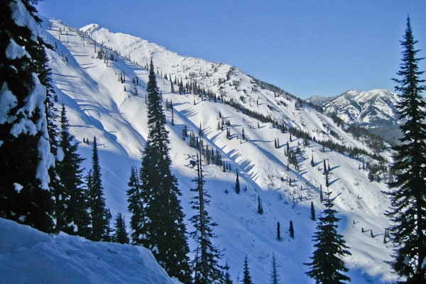 Fernie
