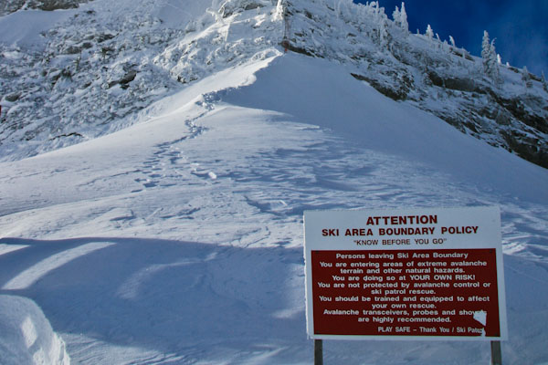 Fernie