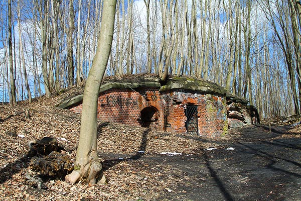 Fort No. 5