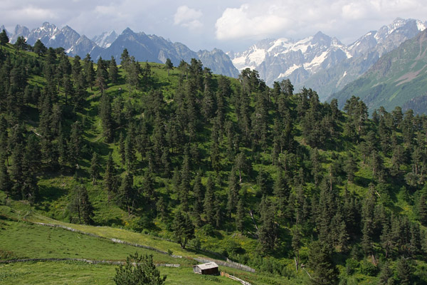 Svaneti