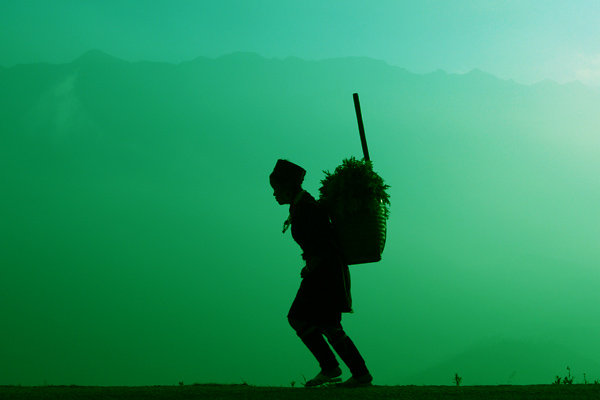 Sapa