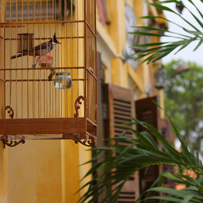 Hoi An