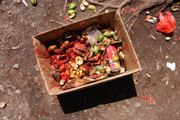 betel nut spit