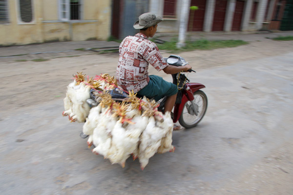 Hsipaw