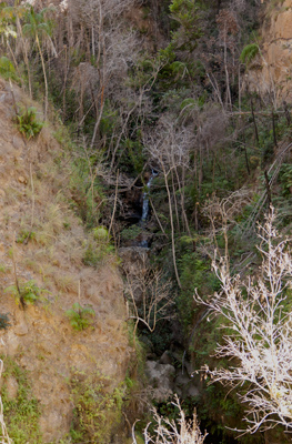 Canyon in Isalo
