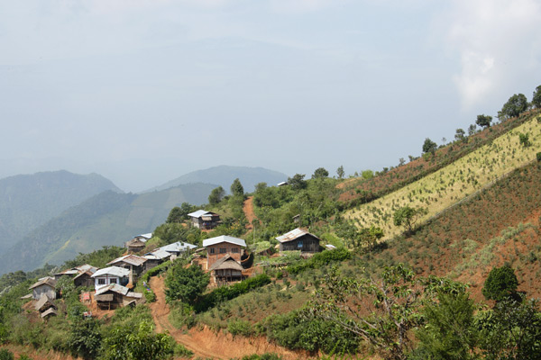 Trekking around Kalaw