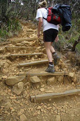 kinabalu