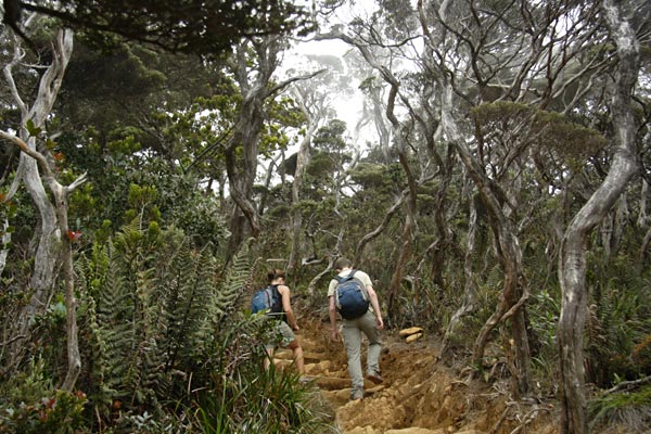 kinabalu