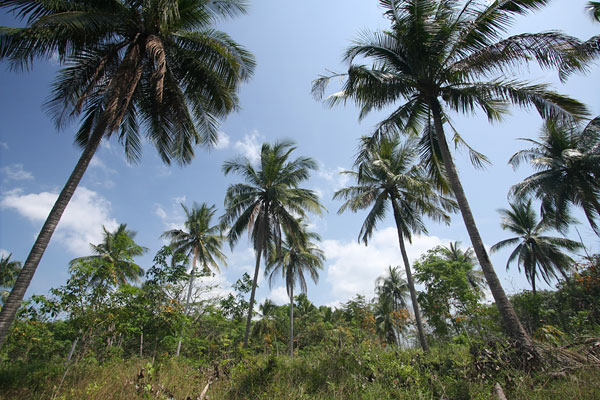 Ko Chang