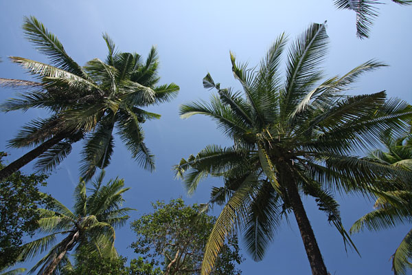 Ko Phayam