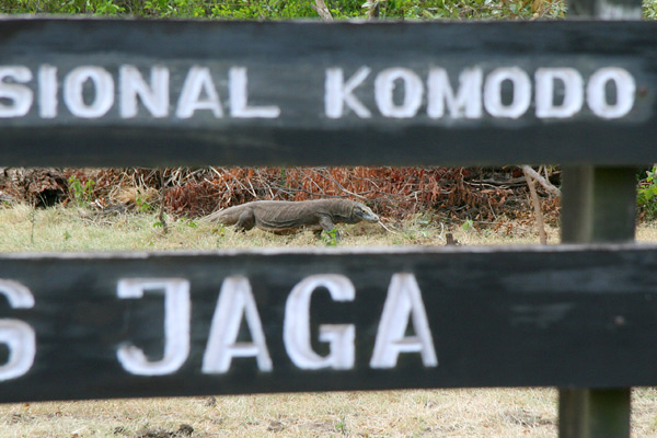 Rinca Island
