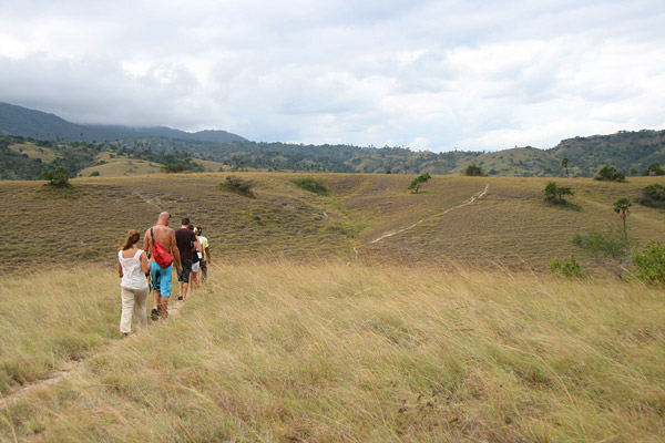 Rinca Island