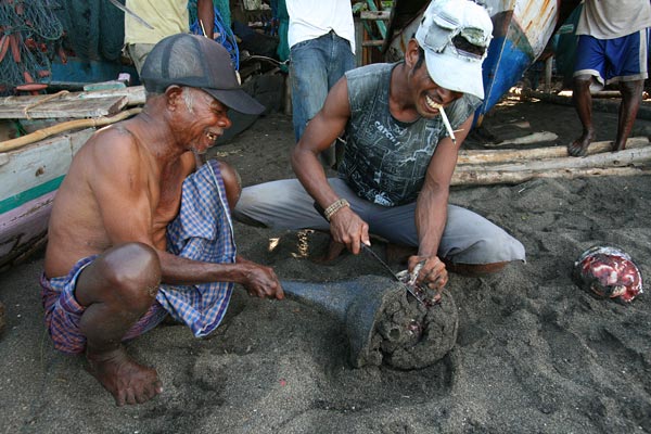 chopping up a dolphin