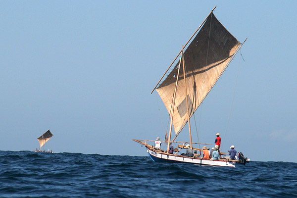 whale hunting boats
