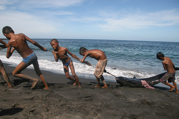 dragging the catch up the beach