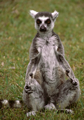 Madagascar