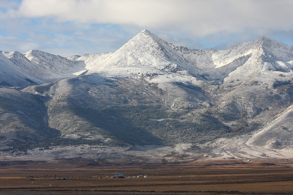 litang