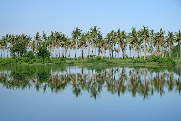Indonesia