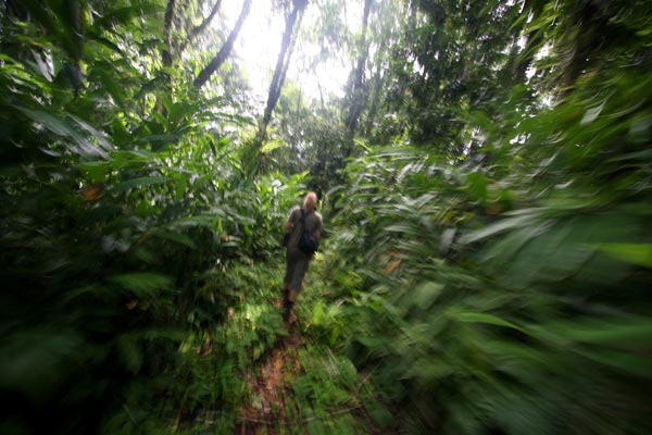 jungle walking