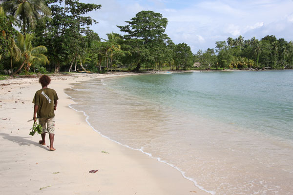 beach in Marovo Lagoon