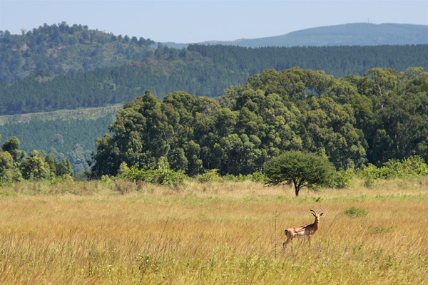 Eswatini