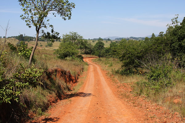 Mlilwane