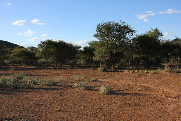 Mokolodi Nature Reserve