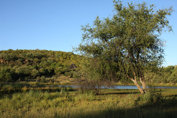 Mokolodi Nature Reserve