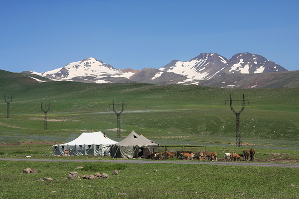 Yezidi Kurd camp