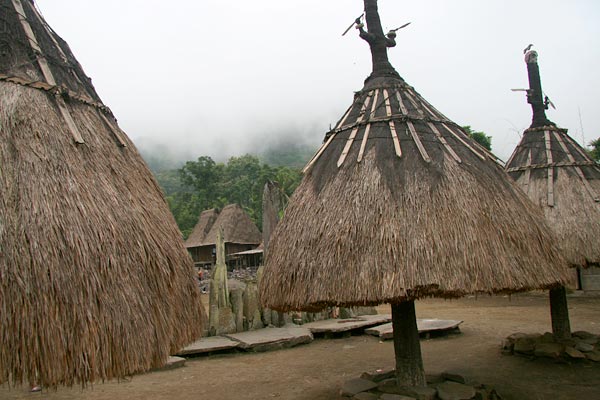 Ngadhus