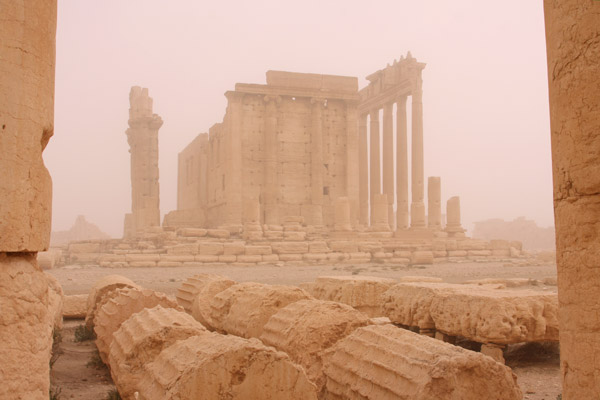 palmyra