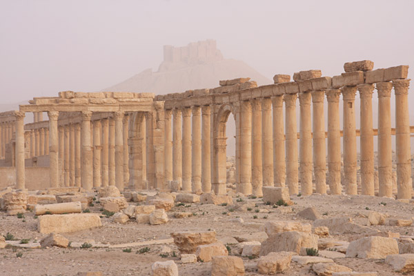 palmyra