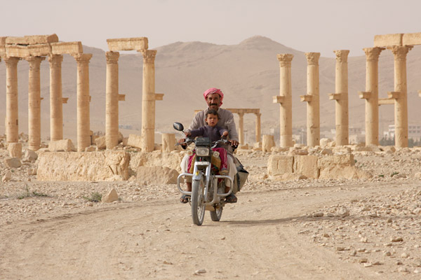 palmyra