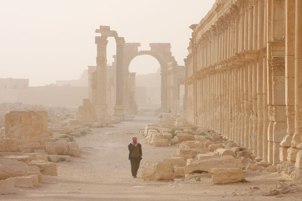 palmyra