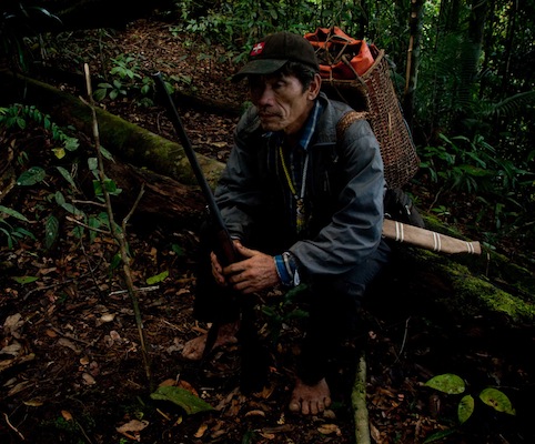 Penan hunt