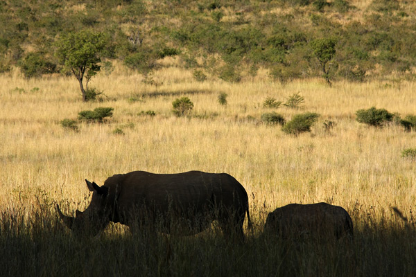 South Africa