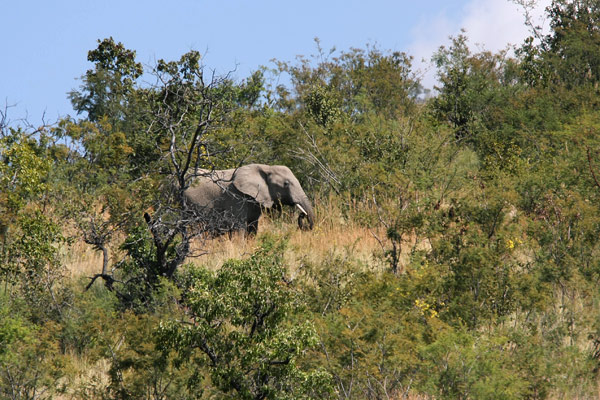 Pilanesberg