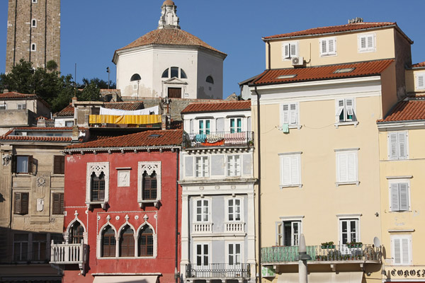 Houses at Tartinijev square