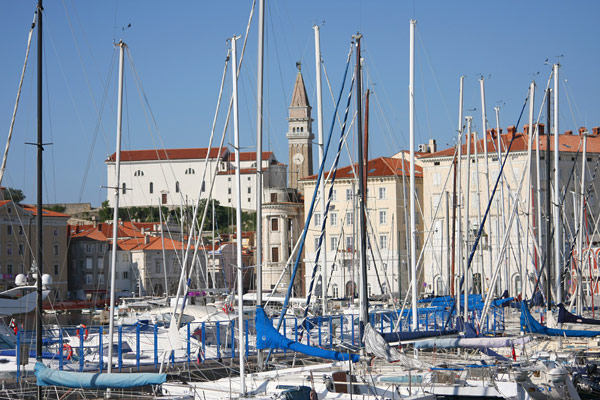 Piran marina