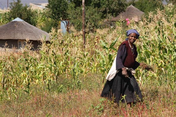 Lesotho village