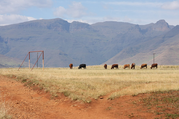 Lesotho village