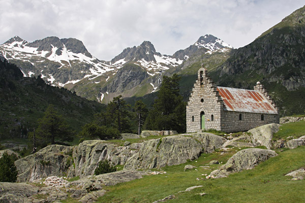 Wallon
