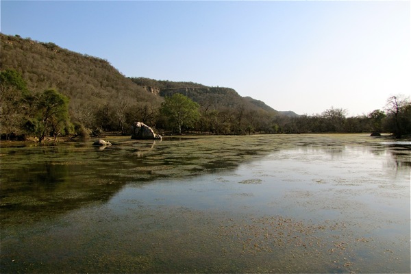 Ranthambore National Park