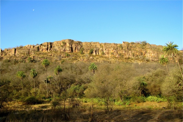 Ranthambore National Park