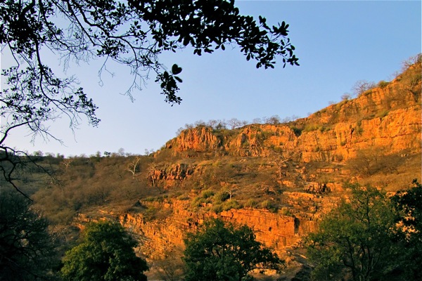 Ranthambore National Park