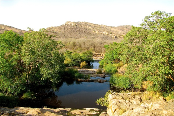 Ranthambore National Park