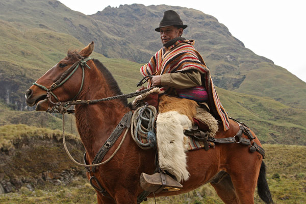 A real cowboy